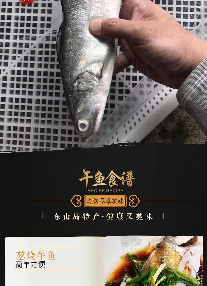 四海生鲜东山岛自然海捕午鱼马友鱼2只750g杀好去