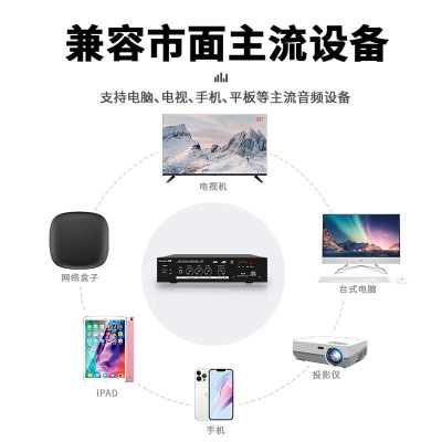纽曼(Newsmy)定压功放 R2 30W