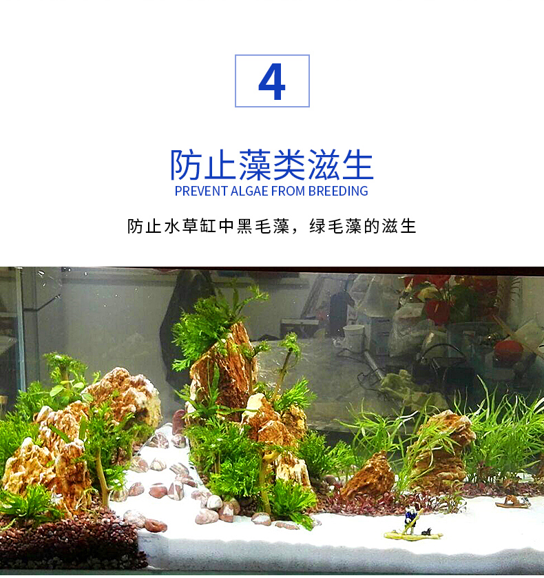鱼缸除藻剂 除绿水除青苔 除藻去苔剂缸净水浓缩型快速去除剂【价格