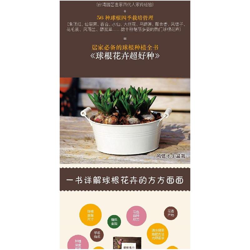 球根花卉超好种 谢依庭著 摘要书评在线阅读 苏宁易购图书