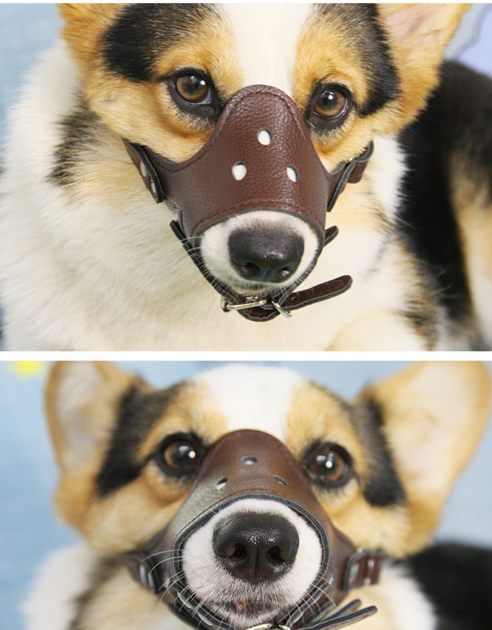 狗狗网状透气嘴套法耐防咬防叫防乱吃止吠器宠物嘴罩大中小型幼犬口罩