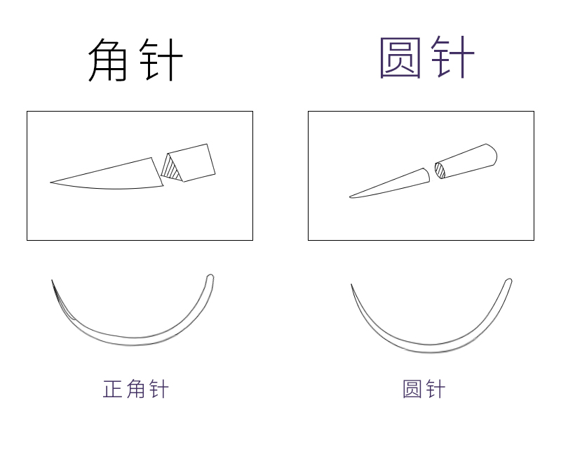 上海金环可吸收外科手术缝合线带针医用4560美容埋线pga结扎线
