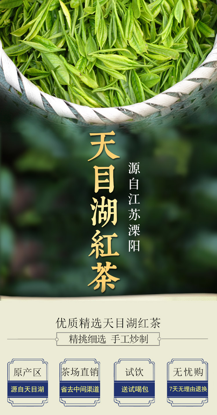 新茶2022天目湖红茶散装茶叶浓香型小种功夫早茶溧阳特产红茶