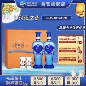 洋河(YangHe) 蓝色经典 海之蓝 42度 480ml*2 礼盒装 浓香型白酒 口感绵柔(新老包装随机发货)