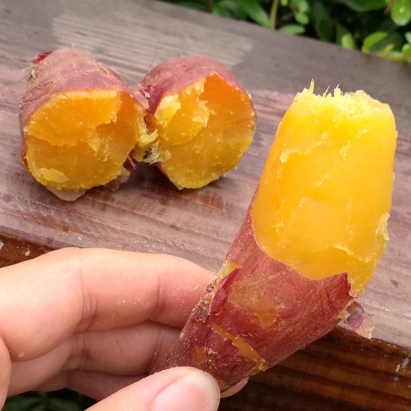 小香薯红薯5斤装无筋无丝板栗薯番薯小蕃薯红暑可开发票