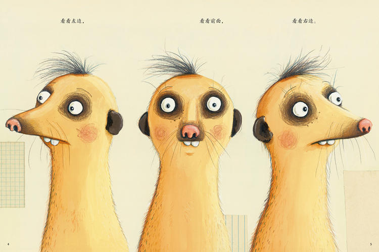 赠导读手册书签我要是别人就好了维尔纳霍尔茨瓦特是谁嗯嗯在我头上