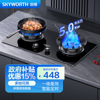 创维(Skyworth)燃气灶双灶具Z212B 双九腔定时5.0KW聚能猛火爆炒 台式/嵌入式两用炉具 家用液化气