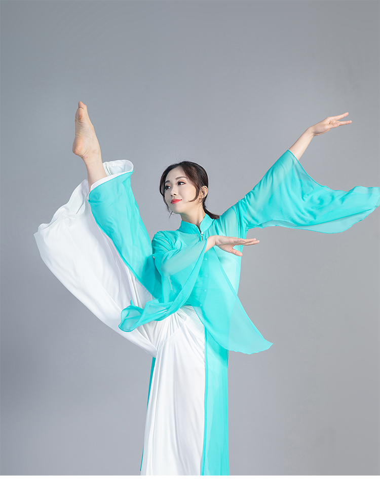 古典舞蹈演出服装成人仙女纱衣中国风广袖逸阔腿裤两件套装