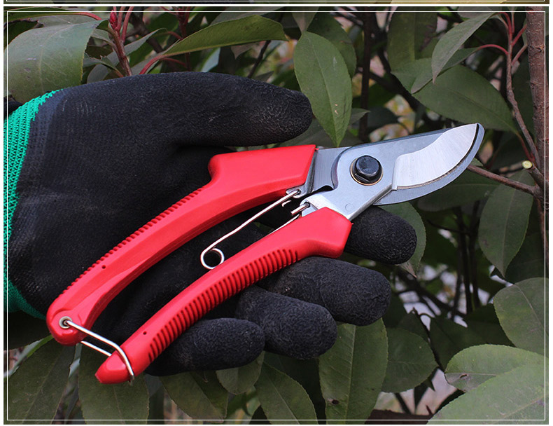 封后剪刀修枝剪园艺工具修枝剪花剪果树剪修花家用省力高树枝粗枝剪子