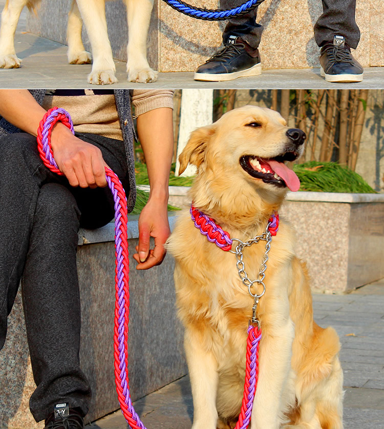 大狗牽引繩項圈中大型犬遛狗帶阿拉斯加金毛狗鏈子八股繩p鏈套裝hml