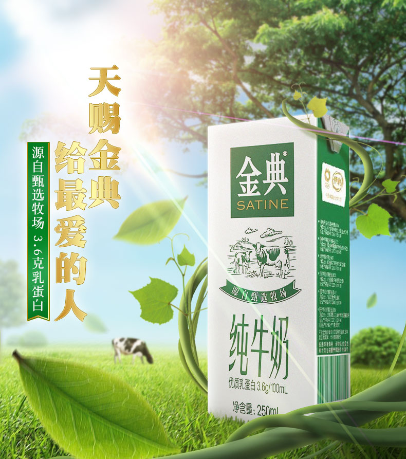 2月产伊利牛奶金典纯牛奶250ml12盒箱礼盒装