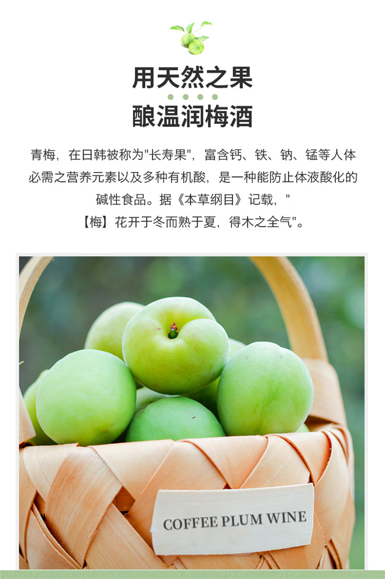 中华特色馆从化馆名果之屋咖啡梅酒6支装箱180ml瓶梅子酒青梅果酒低度