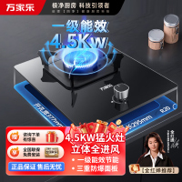 万家乐AY1烈火4.5KW燃气灶家用厨房单灶台式嵌入式煤气灶液化气
