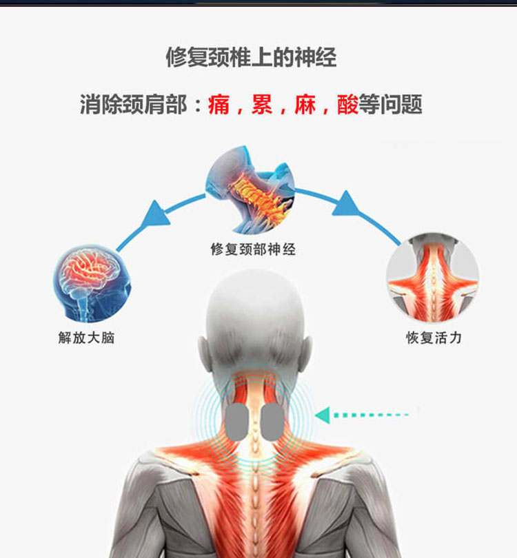 颈背部在哪位置图片图片