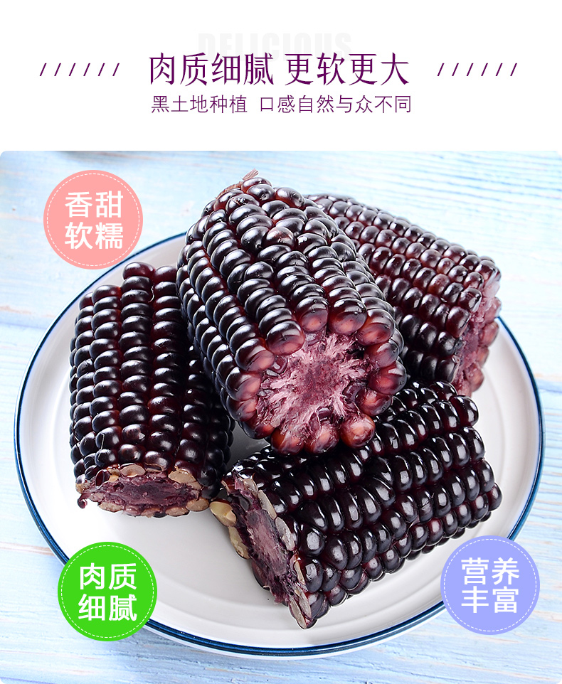 谷本粮农黑糯玉米6根12kg非转基因杂粮鲜食粘糯黑玉米棒