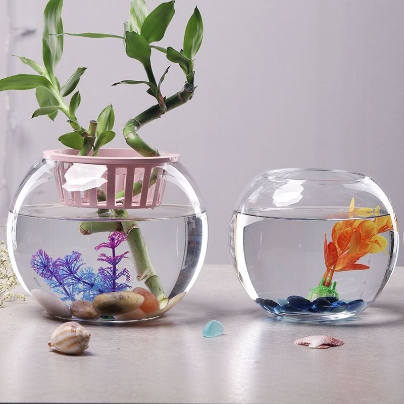 玻璃小鱼缸圆形缸金鱼缸花边水培植物生态水族箱养鱼乌龟特价造景14