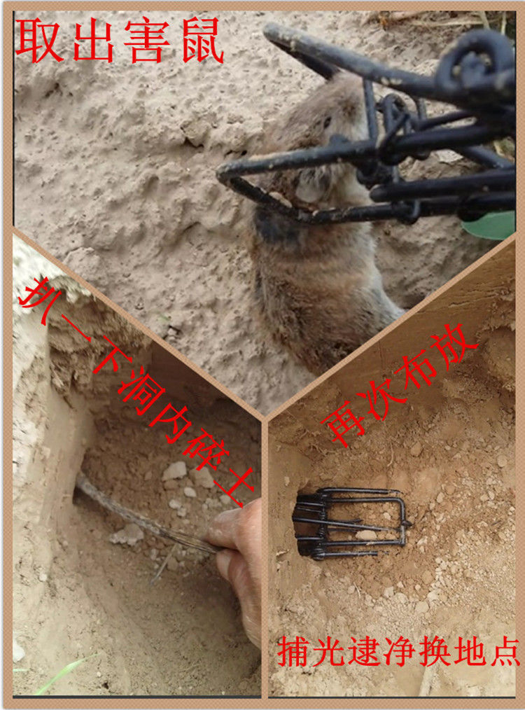 地老鼠捕捉器田鼠夹地鼠夹器地羊仓鼠鼹鼠夹野外抓扑神器