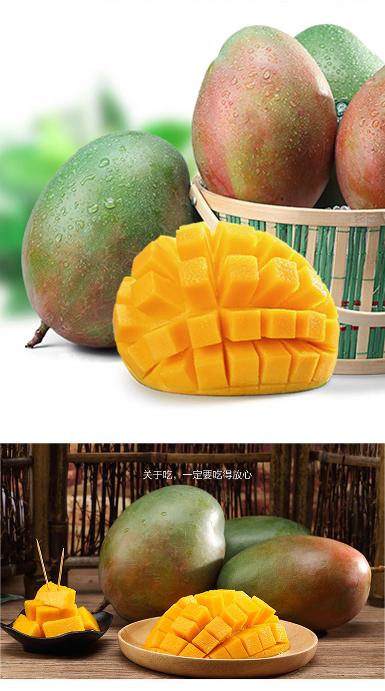 四川攀枝花凯特芒果新鲜芒果 大果5斤 新鲜水果
