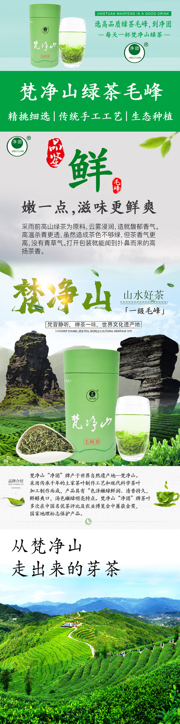 淨團茶葉貴州綠茶2022年新茶貴州梵淨山高山雲霧茶一級毛峰茶穀雨前芽