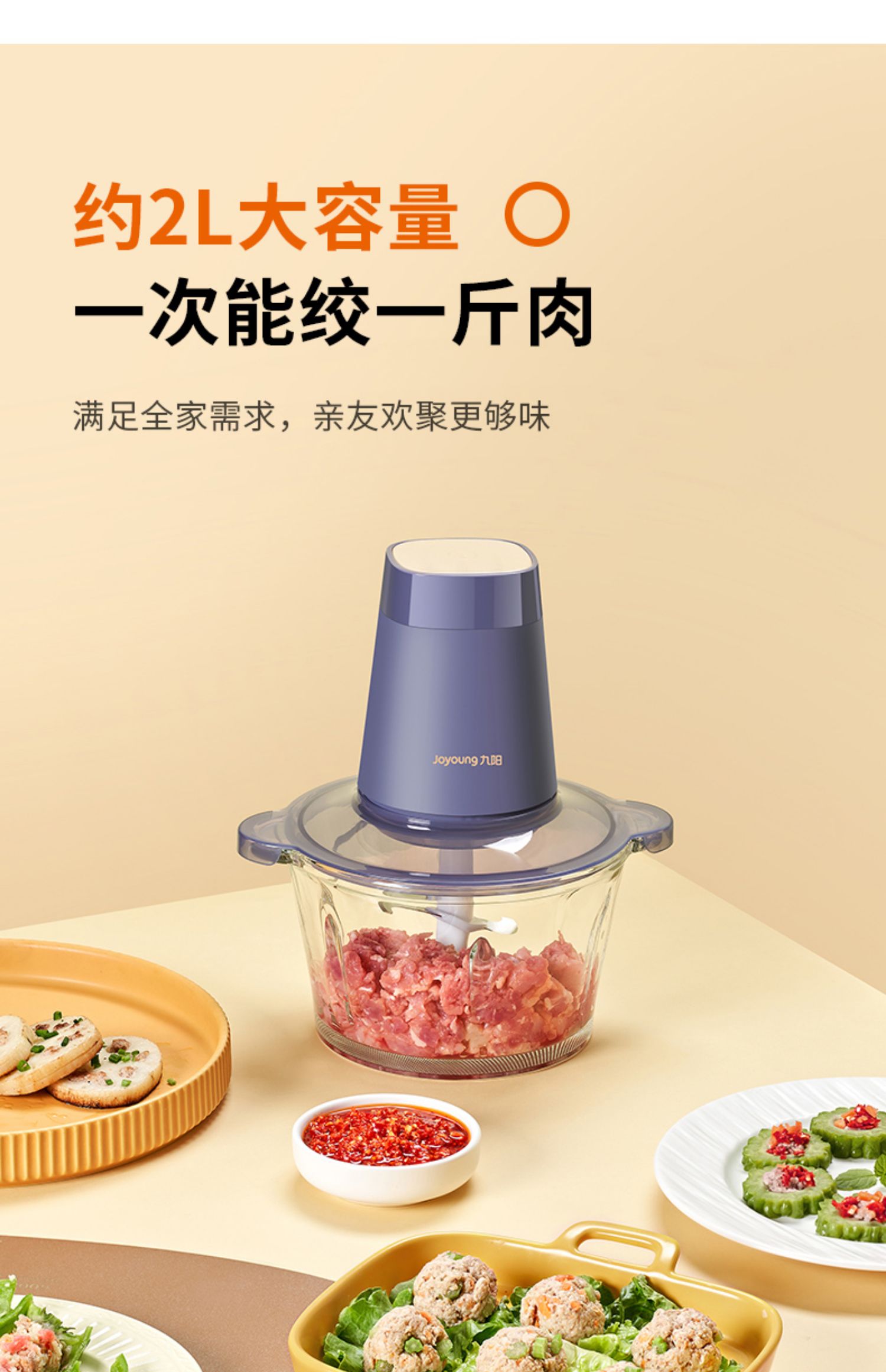 九阳绞肉机家用电动不锈钢小型打馅碎肉搅拌机料理机多功能绞馅机