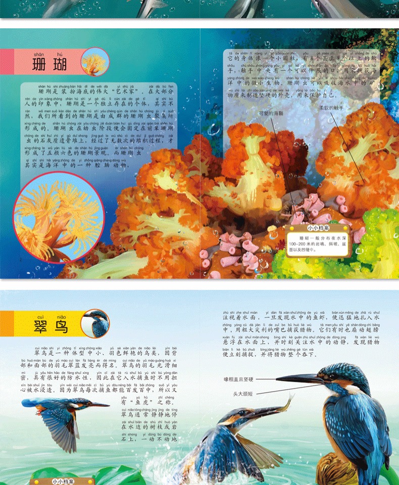 绘本30册海底世界儿童36岁幼儿园老师推荐幼儿带拼音睡前阅读故事书