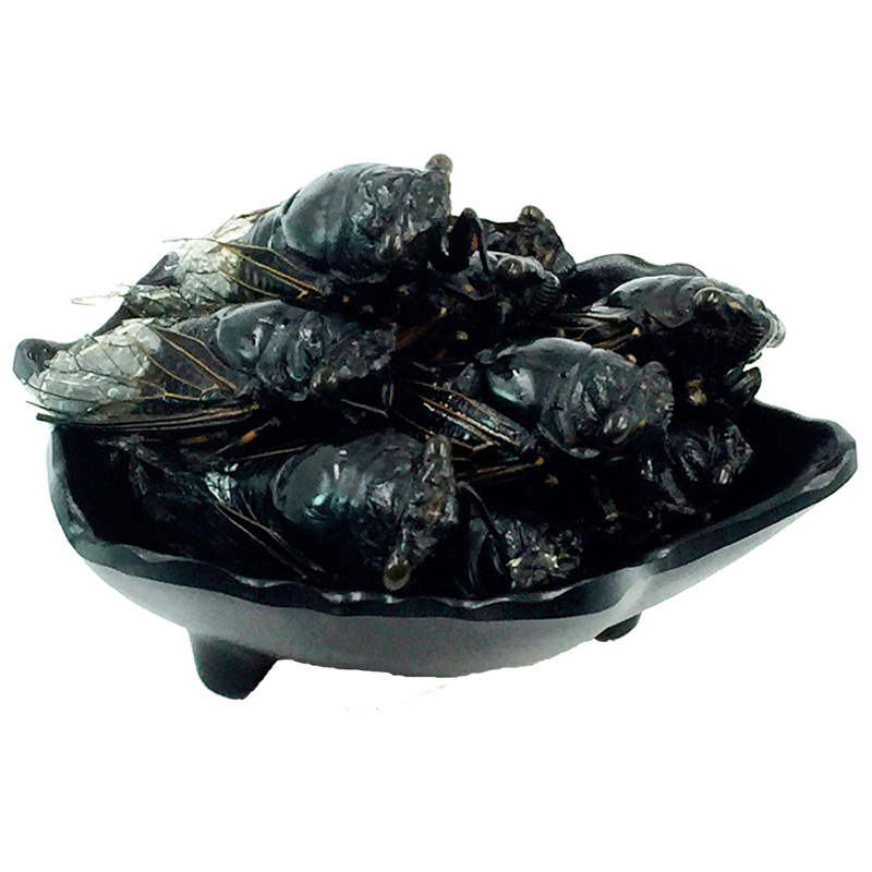 生黑蝉知了猴黑知了500g蜕皮黑蝉金蝉新鲜昆虫产发