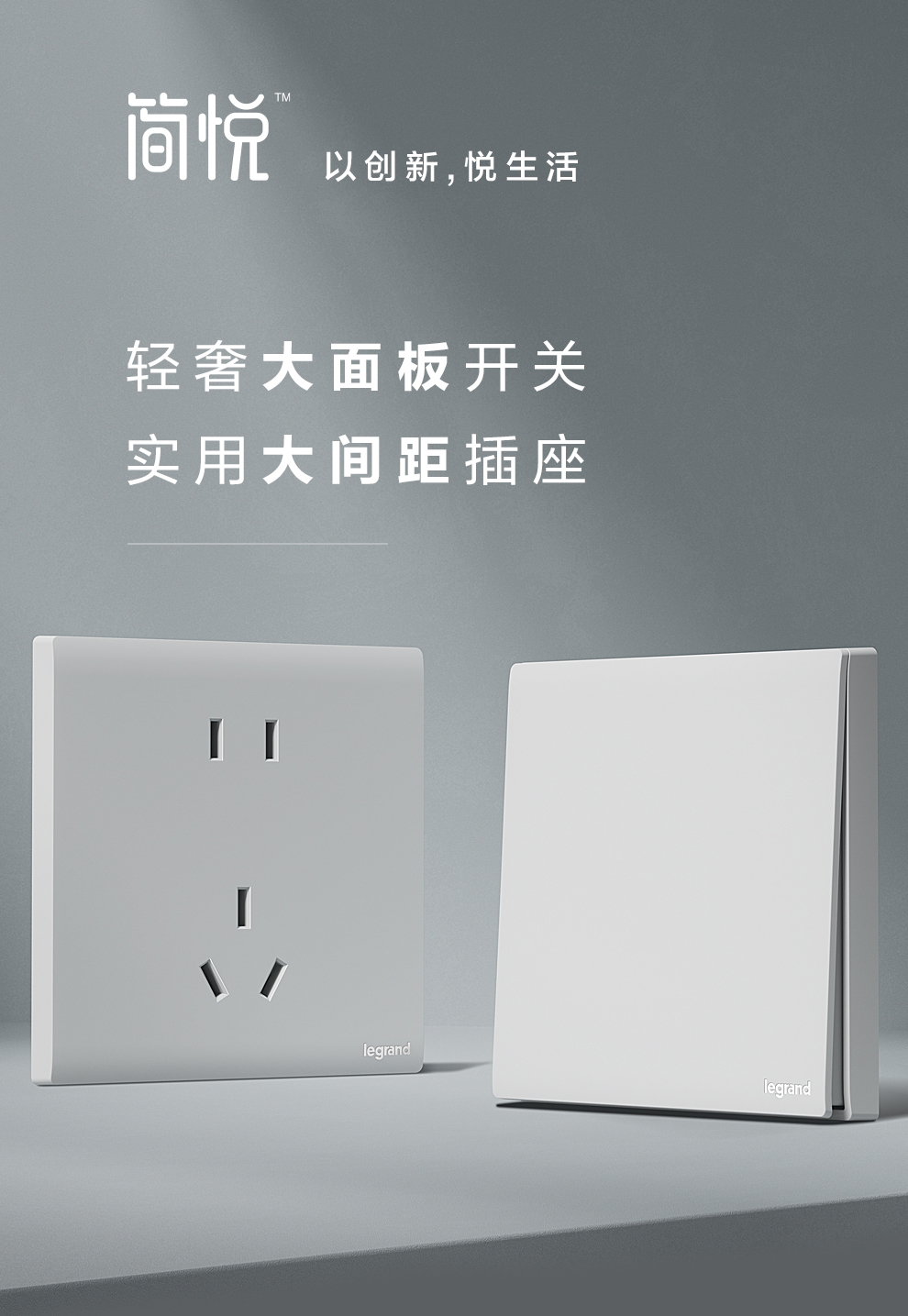 【罗格朗(legrand)开关空白面板带出线孔】 罗格朗出线孔面板简悦86型