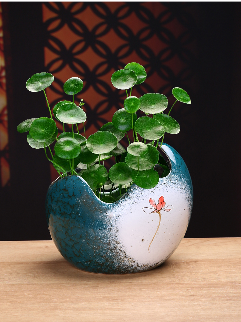 筒钱草盆室内铜钱草专用盆土养室外泡盆花盆水仙花绿植物水培