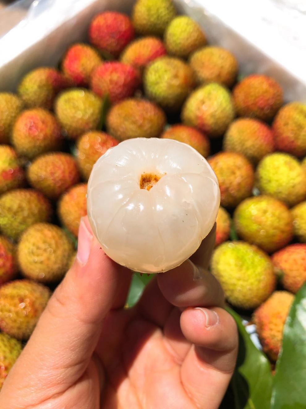 海南桂花香荔枝新鲜荔枝0