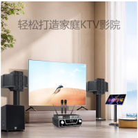 夏新(AMOI)家庭影院KTV套装S8 专业音响套装+无线金属话筒