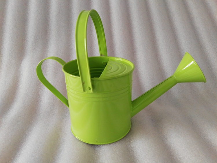 符象园艺用品 彩色铁皮花洒水壶浇水喷花桶拍摄道具园艺工具创意插花