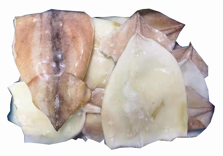 新鲜速冻单冻鱿鱼片 鱿鱼身 鱿鱼筒 隆云鱿鱼尾 烧烤食材海鲜 带箱5斤