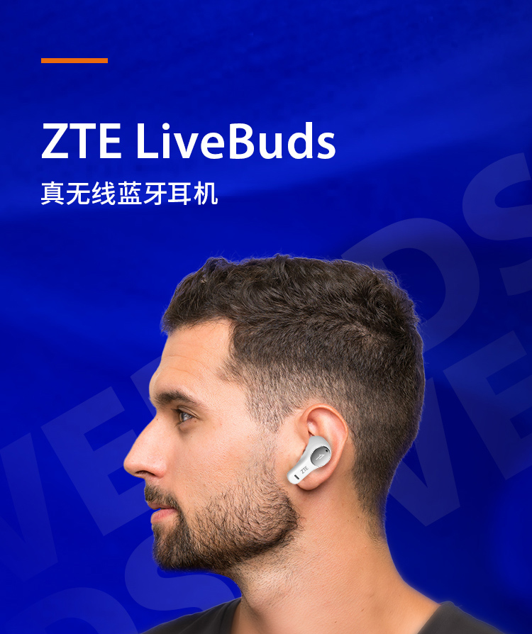 中兴(zte)蓝牙耳机zte livebuds 中兴 zte livebuds 真无线蓝牙耳机