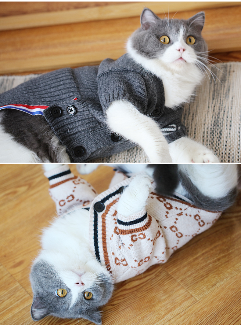 宠物猫咪毛衣小猫衣服秋冬英短蓝白美短可爱亲子装毛衣