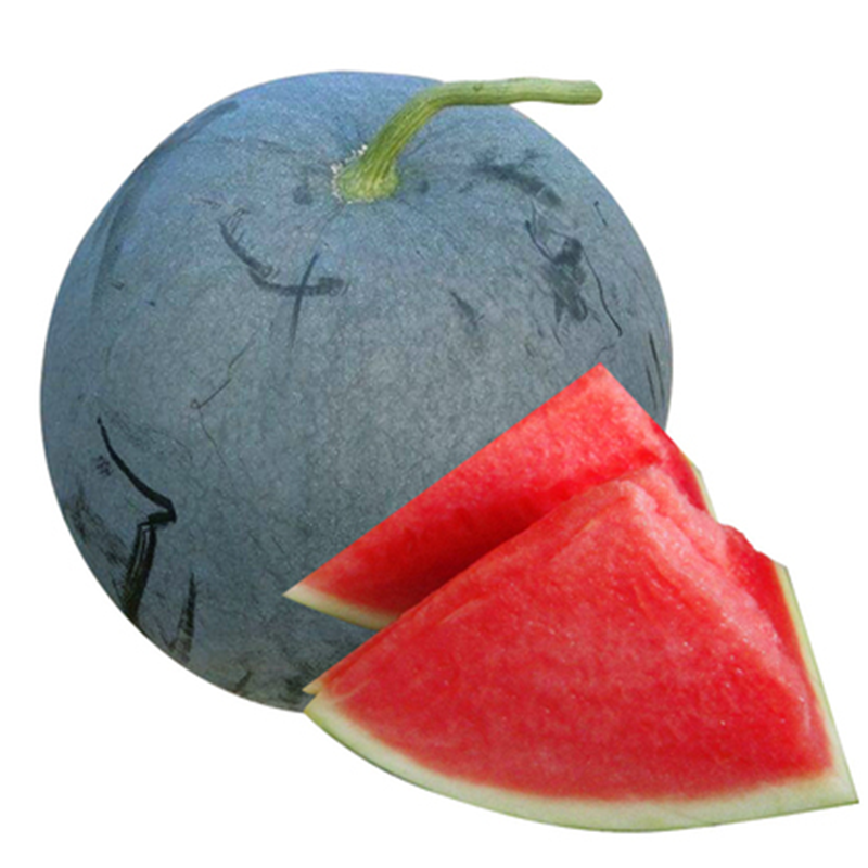 黑美人西瓜种子大果型黑皮巨型无籽西瓜种籽超甜红肉瓤春夏季水果 昌