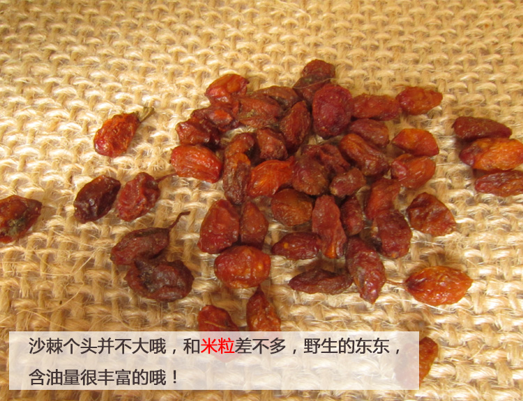 搭啵兔蜜饯/果脯 沙棘果干果500g无加工新鲜果粉果汁新疆沙棘果干