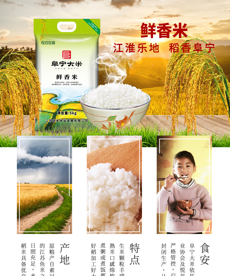 阜宁大米10斤苏北珍珠米18年新米非