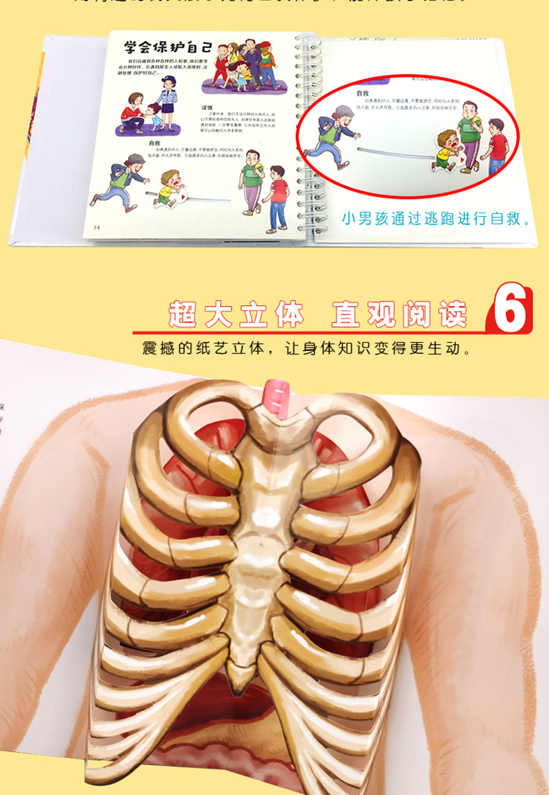 《【醉染正版】我们的身体 儿童3d立体书绘本全套科普百科全书人体