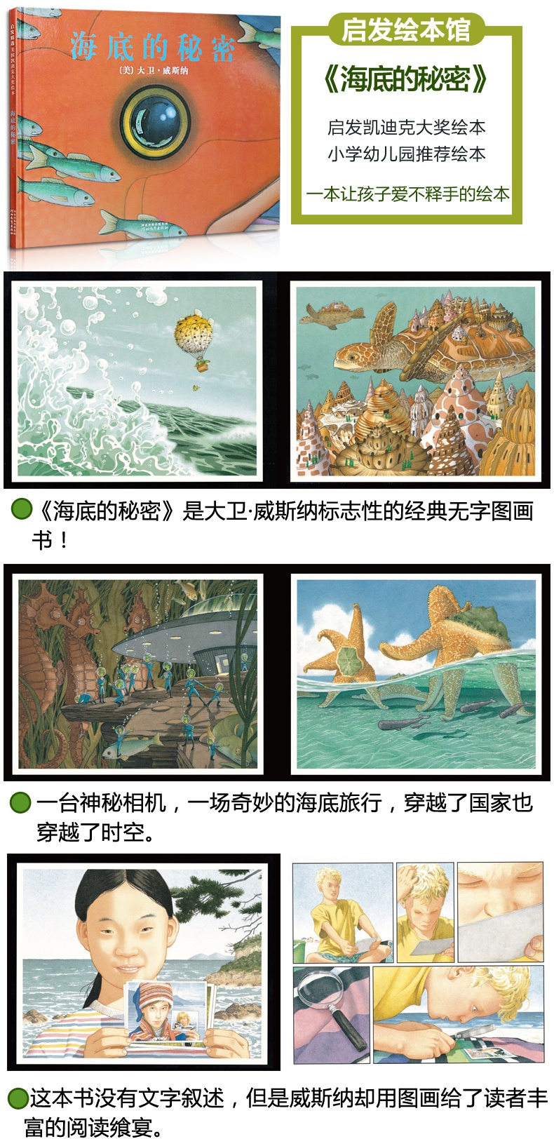 凯迪克大奖专家导读海底的秘密启发精选美国凯迪克大奖绘本正版精装少