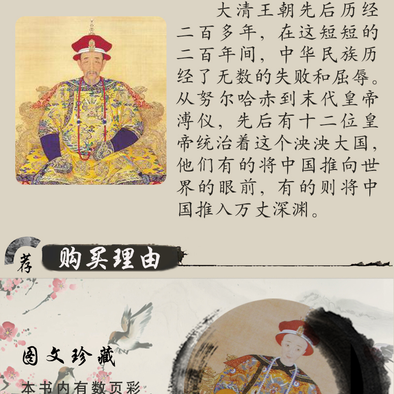 清朝十二帝4冊精裝白話文版歷史書籍中國古代史版後宮全套中國歷史