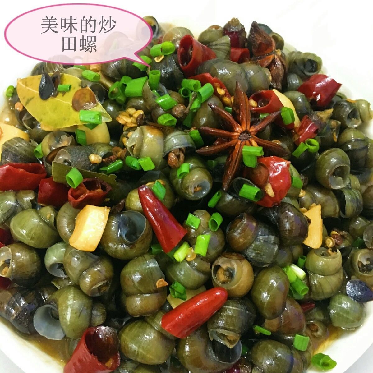 微山湖新鲜田螺渔民现捞新鲜清水田螺山东产地直发包活10斤批发