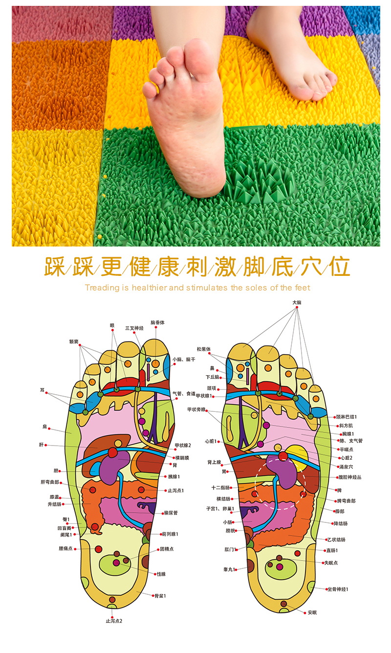 指压板超痛版足底按摩脚垫家用穴位趾压板儿童感统训练游戏小竹笋
