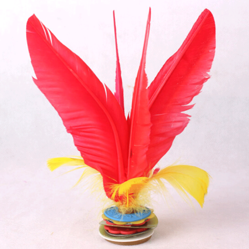 idiskk升级款火翎鸟毽子可拆装