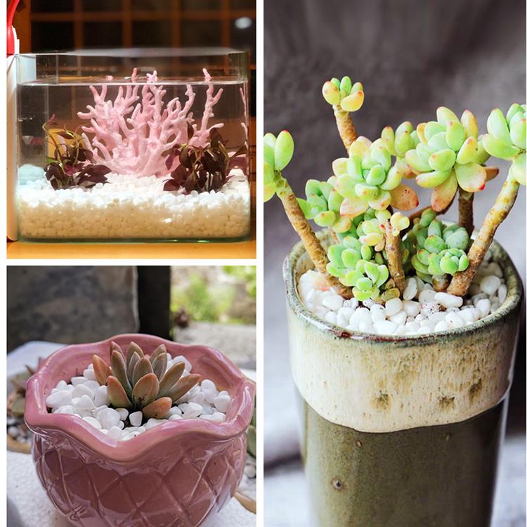 多肉铺面小彩石头子花盆植物铺面石白石子五彩石鱼缸装饰园艺用品