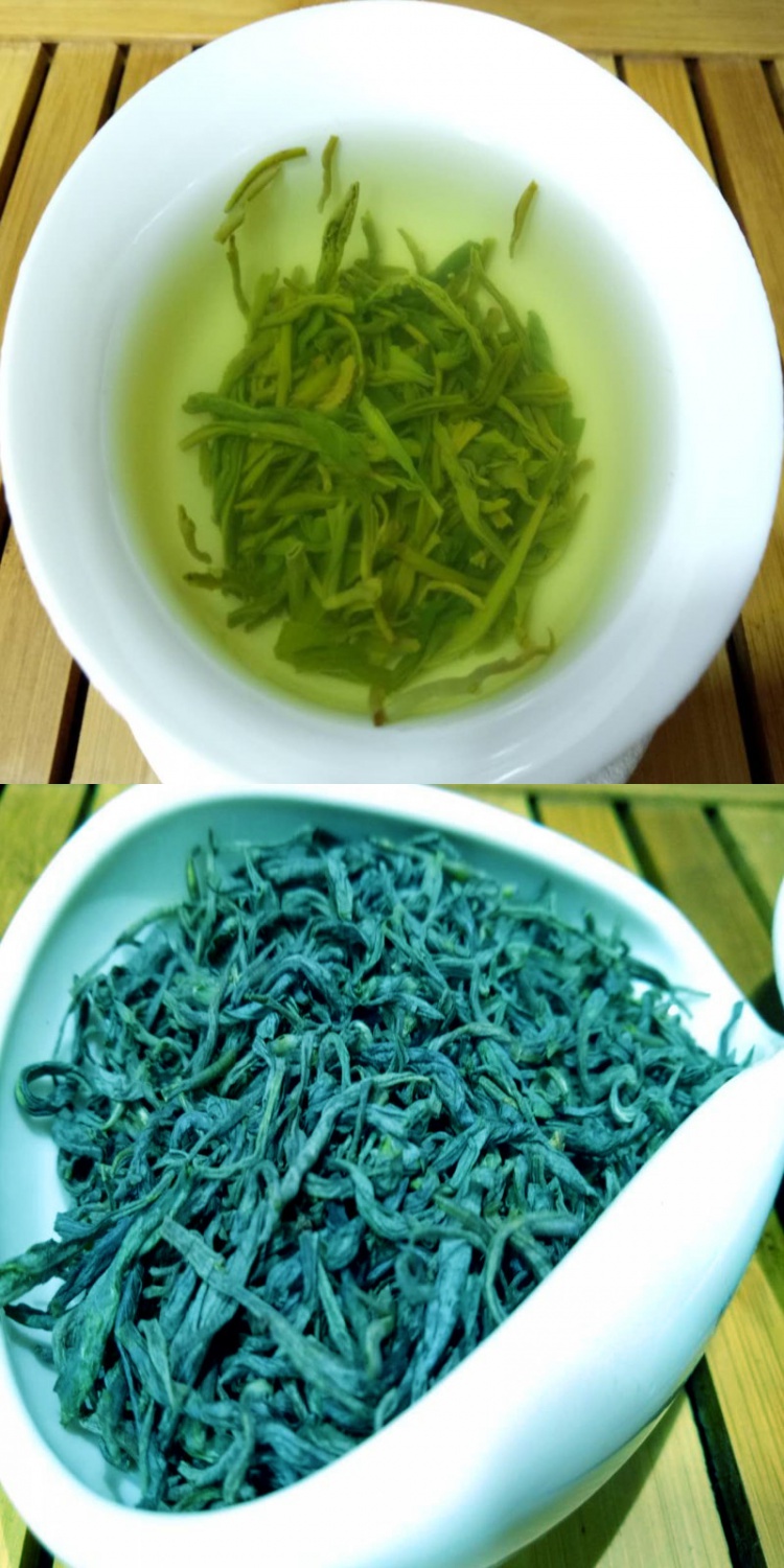 年新茶屏山炒青岩高山绿茶散明前早春宜宾特产清香型