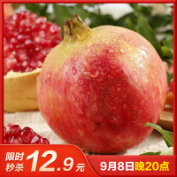 [熊猫鸟]会理突尼斯软籽石榴 净重5斤 特大果 单果350g+ 新鲜孕妇水果 坏果包赔