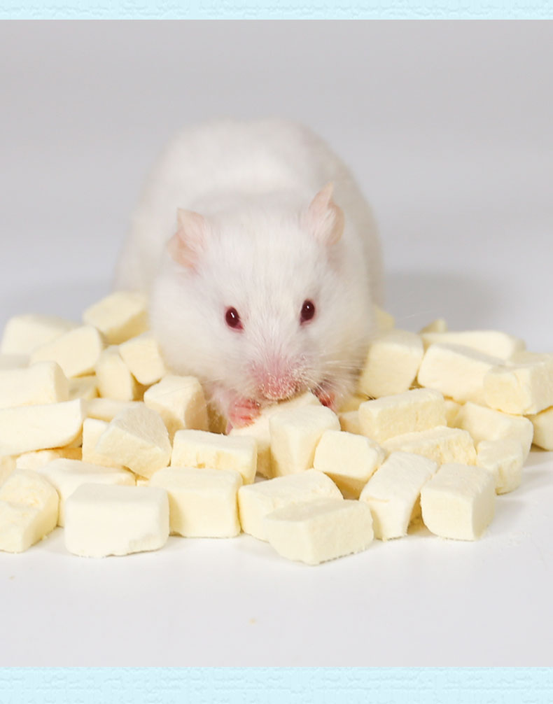 桃花会宠物食品仓鼠冻干豆腐金丝熊豚鼠花枝鼠粮食小零食营养食物用品