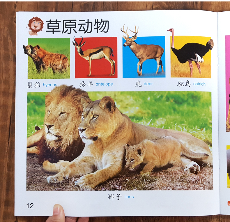 《小嬰孩動物大全 幼兒認識動物書寶寶動物認知書嬰兒識別動物圖片圖