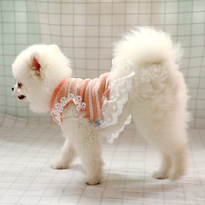 狗狗裙子泰迪比熊博美宠物米妮衣服小型犬公主裙秋装