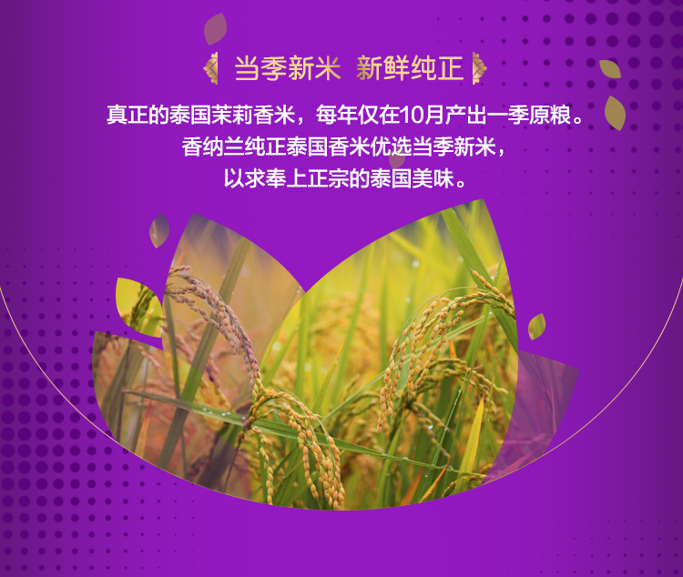 香纳兰纯正泰国香米5kg